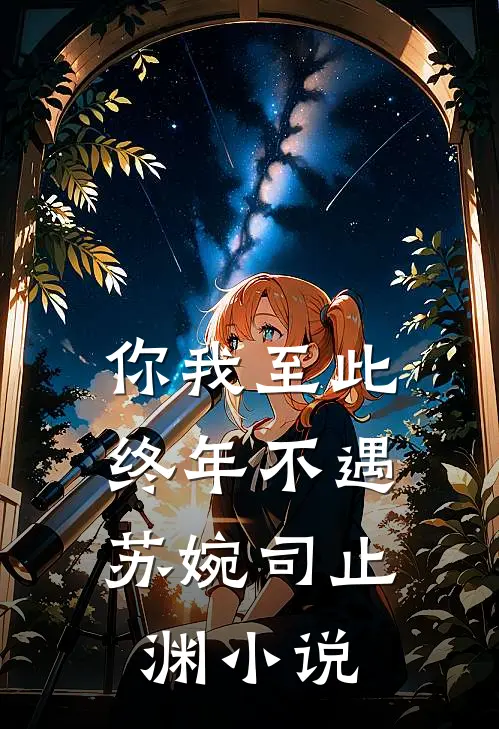 你我至此，终年不遇苏婉司止渊小说