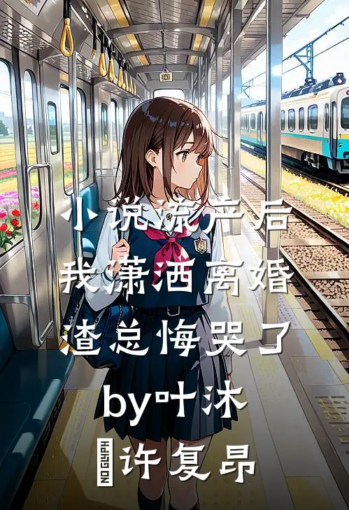 小说流产后我潇洒离婚，渣总悔哭了by叶沐笒许复昂