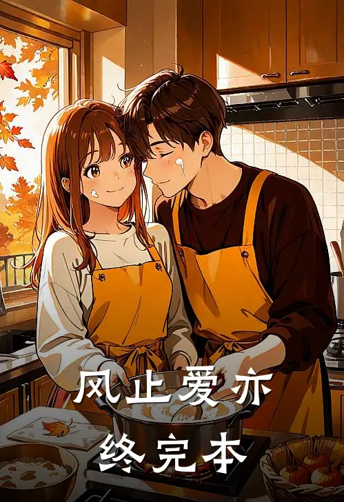风止爱亦终完本