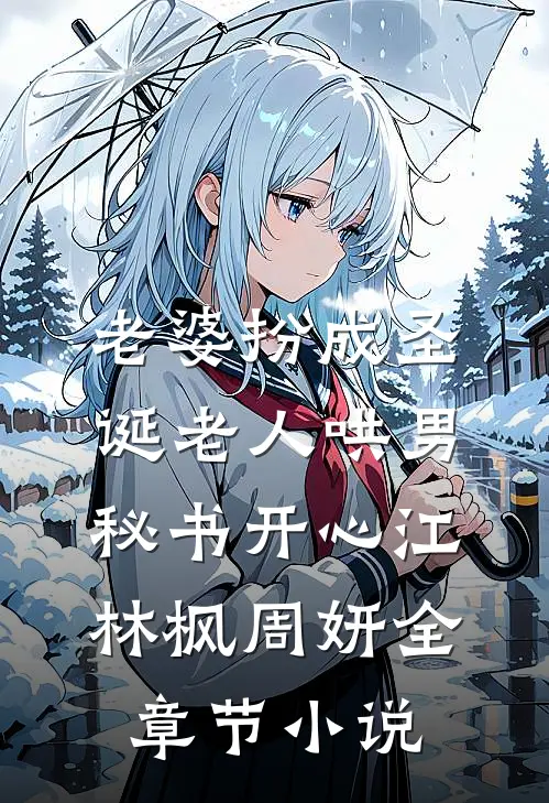老婆扮成圣诞老人哄男秘书开心江林枫周妍全章节小说