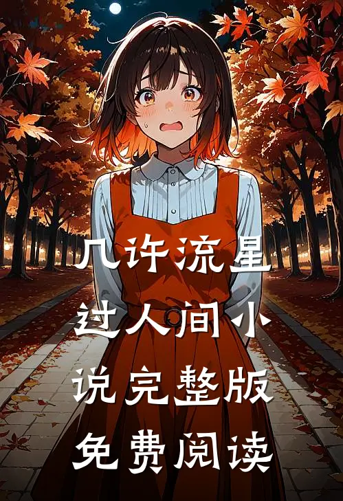 几许流星过人间小说完整版免费阅读
