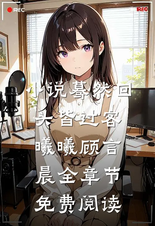 小说蓦然回头皆过客曦曦顾言晨全章节免费阅读