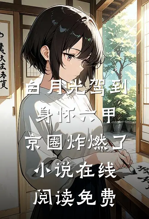 白月光驾到身怀六甲，京圈炸燃了小说在线阅读免费