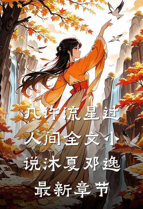 几许流星过人间全文小说沐夏邓逸最新章节
