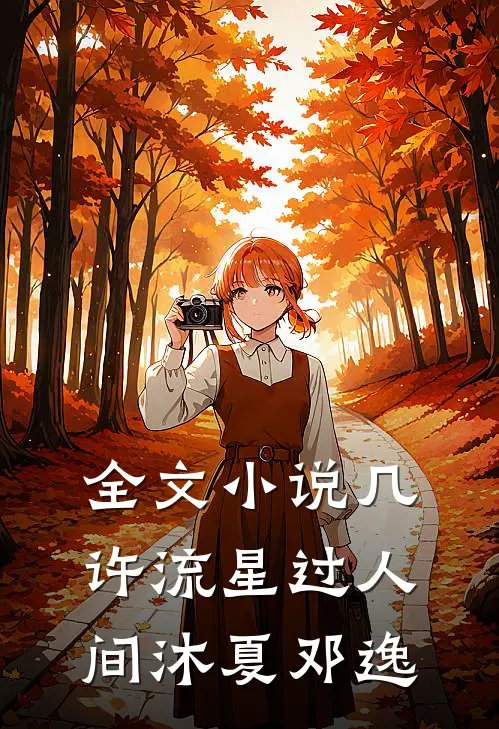 全文小说几许流星过人间沐夏邓逸