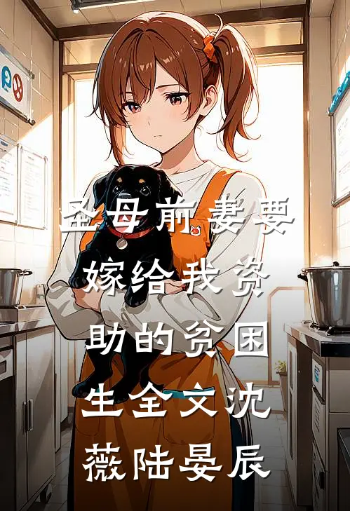 圣母前妻要嫁给我资助的贫困生全文沈薇陆晏辰