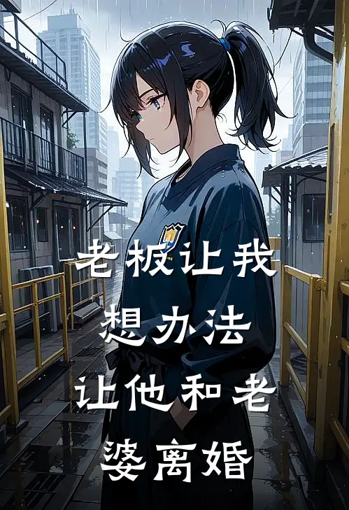 老板让我想办法，让他和老婆离婚
