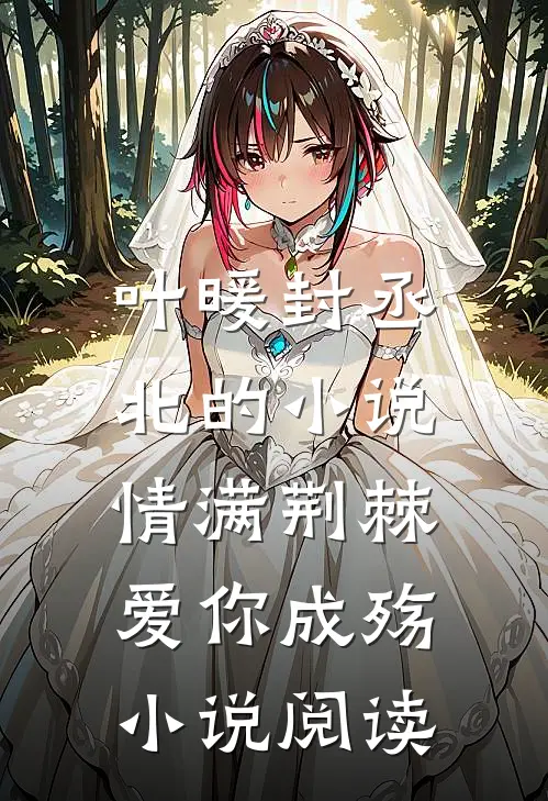 叶暖封丞北的小说情满荆棘，爱你成殇小说阅读