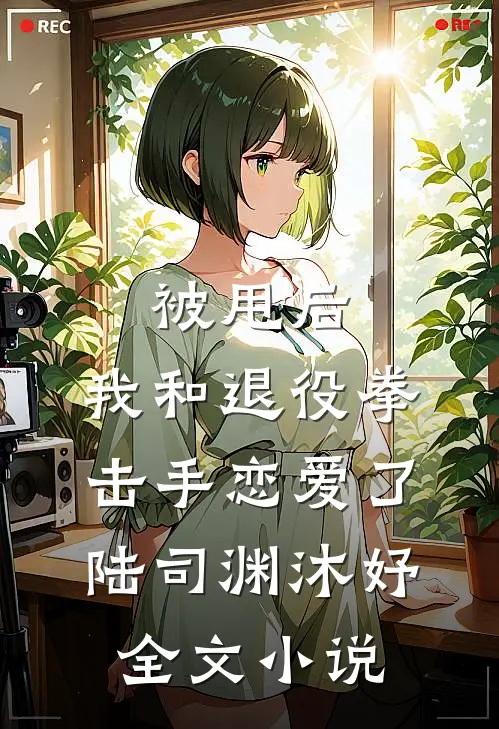 被甩后，我和退役拳击手恋爱了陆司渊沐妤全文小说
