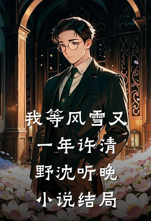 我等风雪又一年许清野沈听晚小说结局