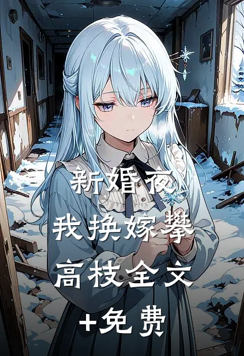 新婚夜，我换嫁攀高枝全文+免费