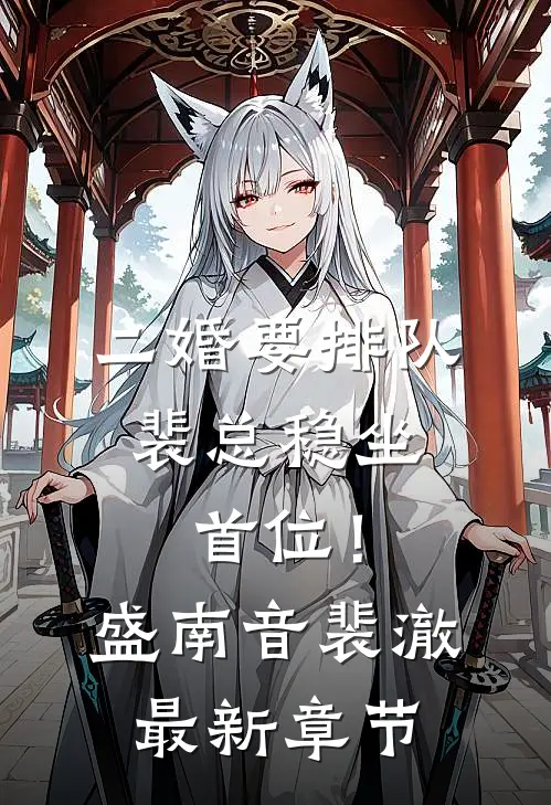 二婚要排队，裴总稳坐首位！盛南音裴澈最新章节
