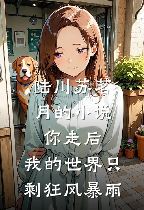 陆川苏茗月的小说你走后，我的世界只剩狂风暴雨