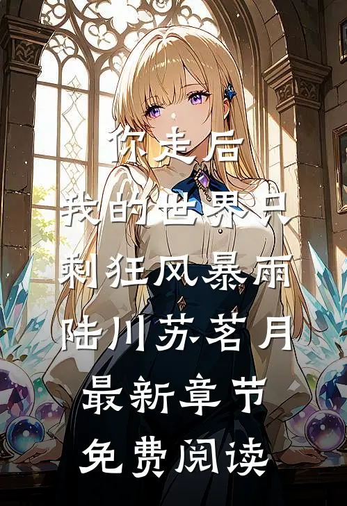 你走后，我的世界只剩狂风暴雨陆川苏茗月最新章节免费阅读
