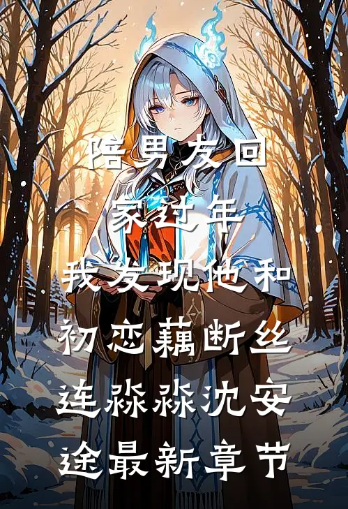 陪男友回家过年，我发现他和初恋藕断丝连淼淼沈安途最新章节