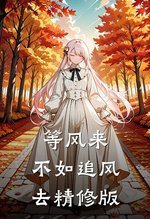 等风来，不如追风去精修版