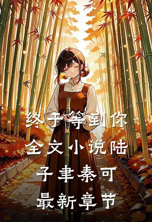 终于等到你全文小说陆子聿秦可最新章节