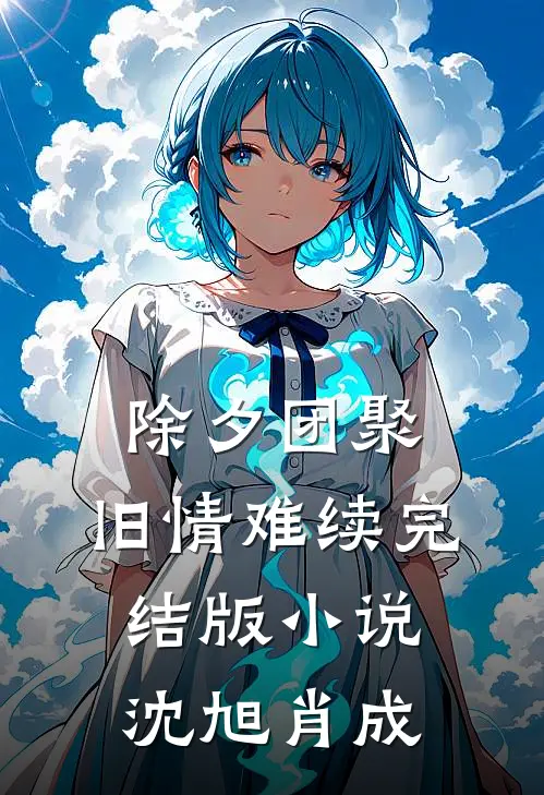 除夕团聚，旧情难续完结版小说沈旭肖成
