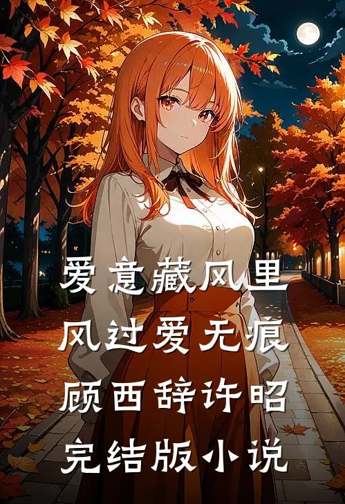 爱意藏风里，风过爱无痕顾西辞许昭完结版小说