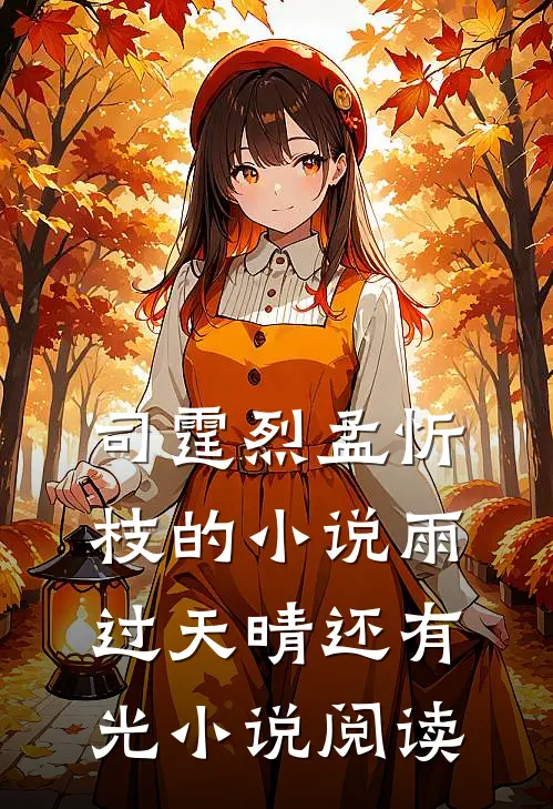 司霆烈孟忻枝的小说雨过天晴还有光小说阅读