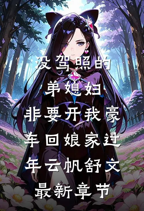 没驾照的弟媳妇，非要开我豪车回娘家过年云帆舒文最新章节