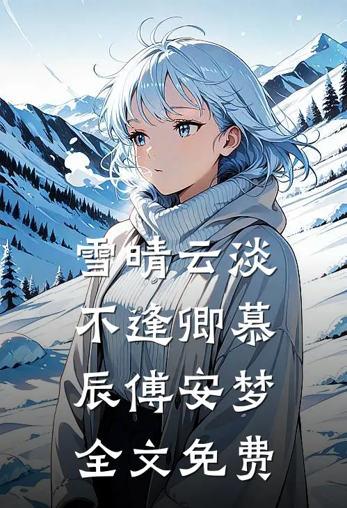 雪晴云淡不逢卿慕辰傅安梦全文免费