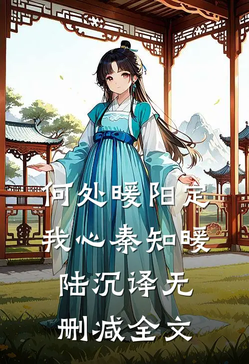 何处暖阳定我心秦知暖陆沉译无删减全文
