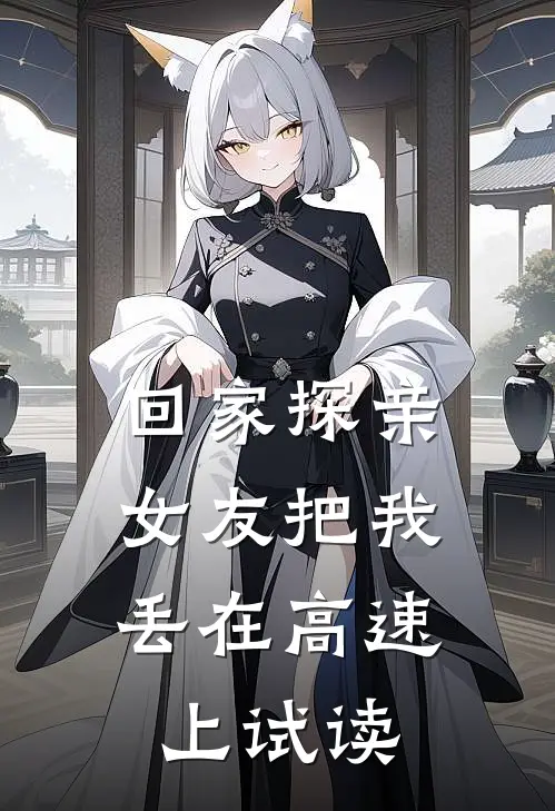 回家探亲，女友把我丢在高速上试读