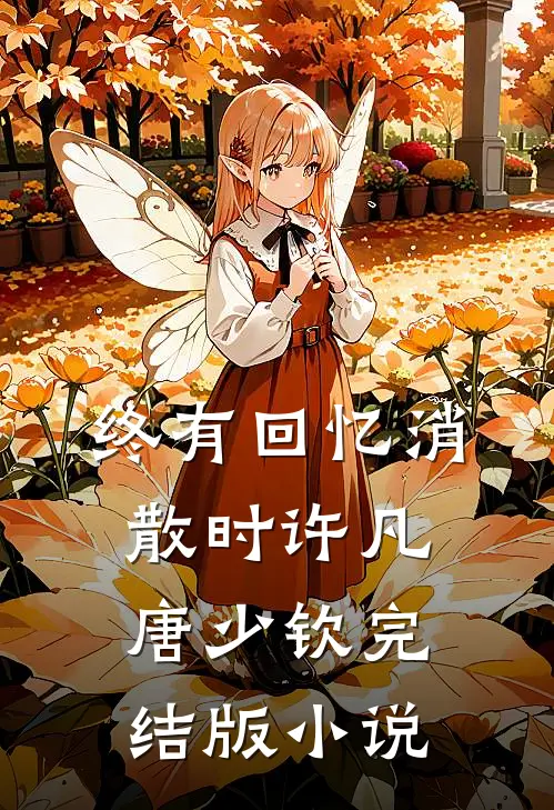 终有回忆消散时许凡唐少钦完结版小说