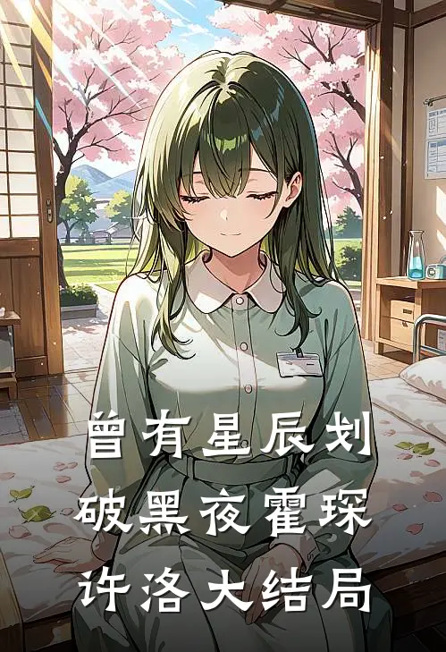曾有星辰划破黑夜霍琛许洛大结局