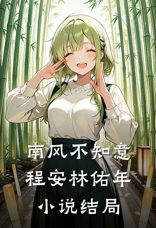南风不知意程安林佑年小说结局