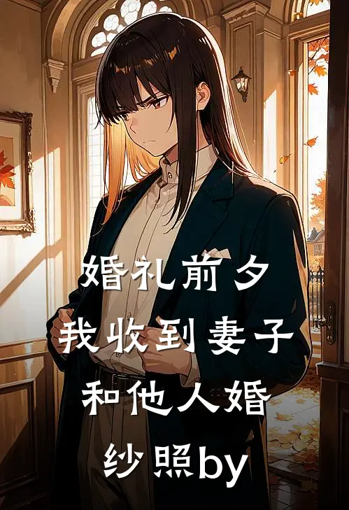 婚礼前夕，我收到妻子和他人婚纱照by