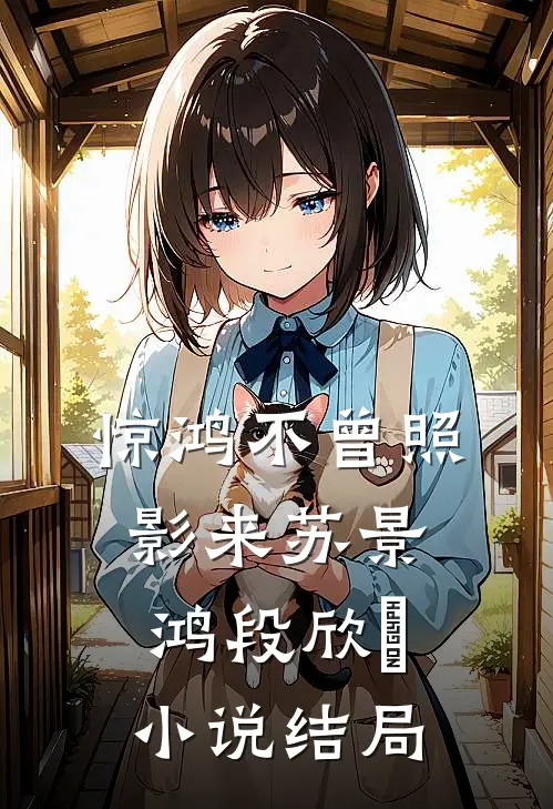 惊鸿不曾照影来苏景鸿段欣玥小说结局