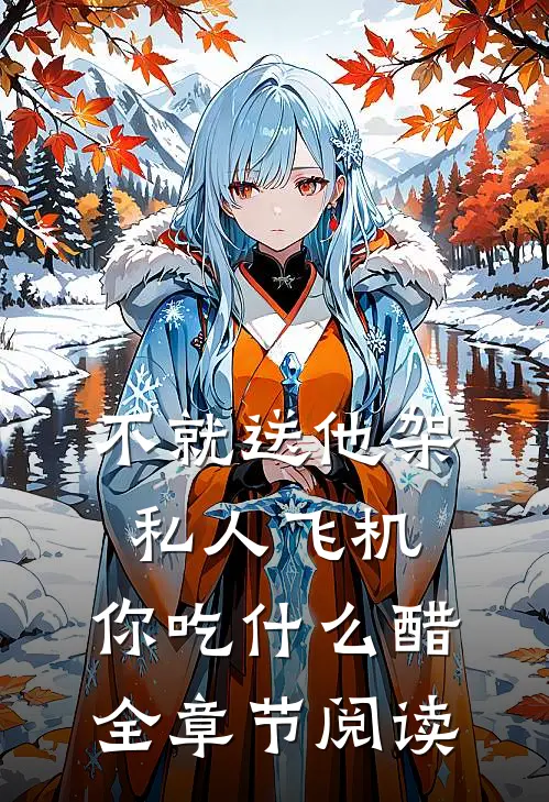 不就送他架私人飞机，你吃什么醋全章节阅读