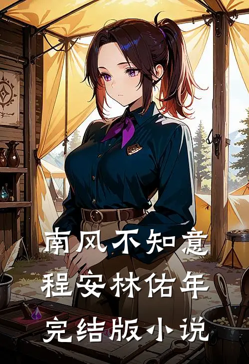 南风不知意程安林佑年完结版小说