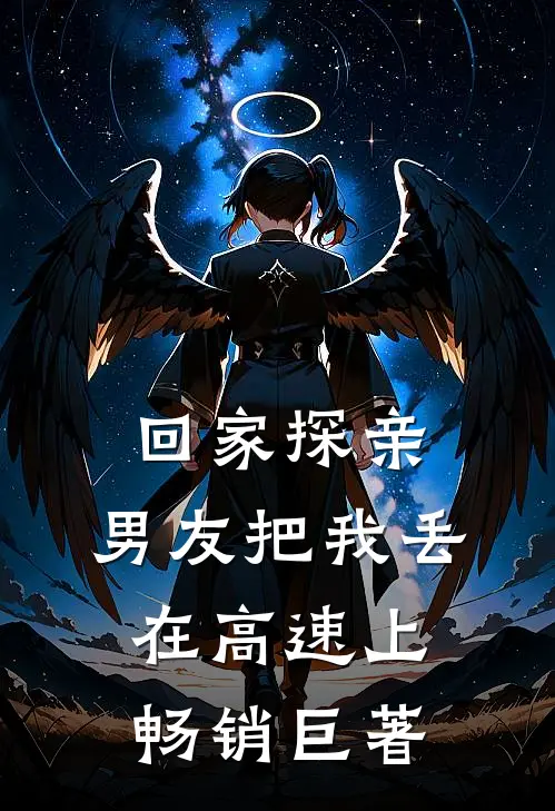 回家探亲，男友把我丢在高速上畅销巨著