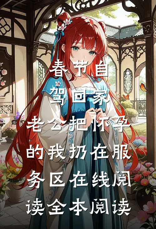 春节自驾回家，老公把怀孕的我扔在服务区在线阅读全本阅读