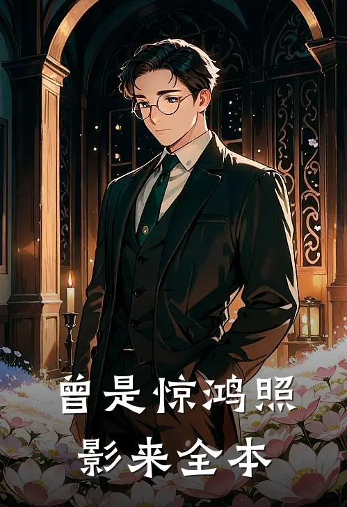 曾是惊鸿照影来全本