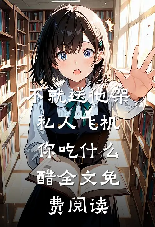 不就送他架私人飞机，你吃什么醋全文免费阅读