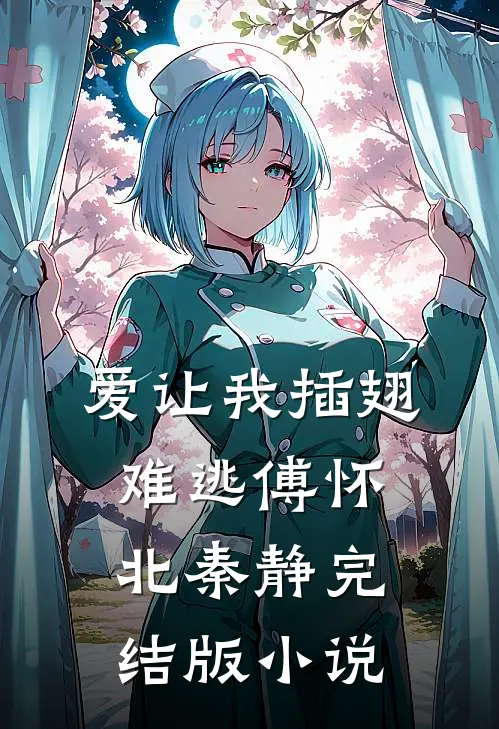 爱让我插翅难逃傅怀北秦静完结版小说