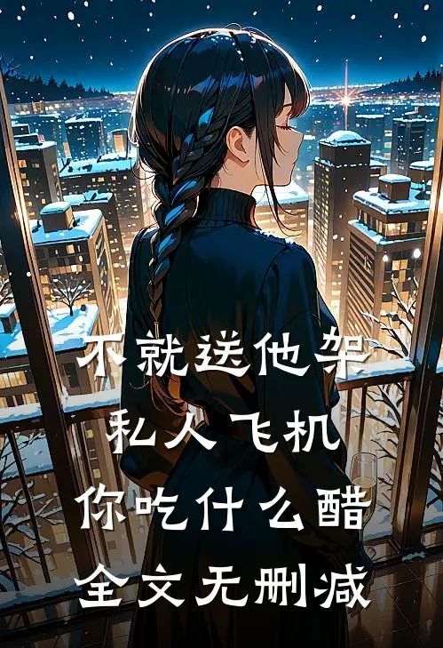 不就送他架私人飞机，你吃什么醋全文无删减