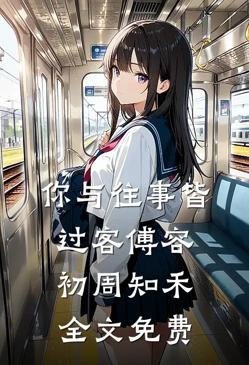 你与往事皆过客傅容初周知禾全文免费