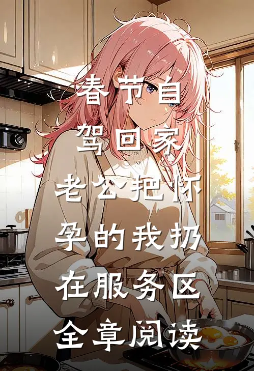 春节自驾回家，老公把怀孕的我扔在服务区全章阅读