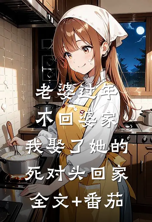 老婆过年不回婆家，我娶了她的死对头回家全文+番茄