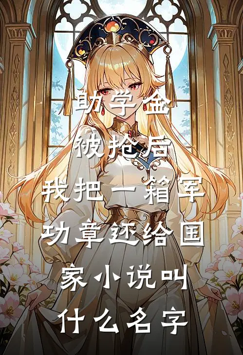 助学金被抢后，我把一箱军功章还给国家小说叫什么名字