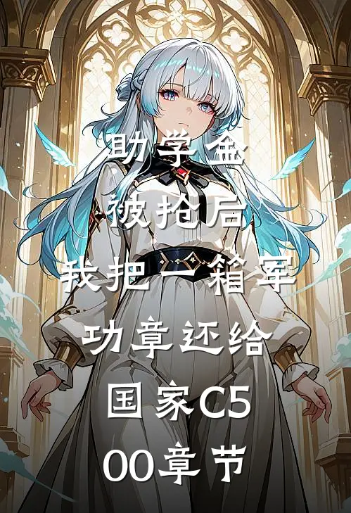 助学金被抢后，我把一箱军功章还给国家C500章节