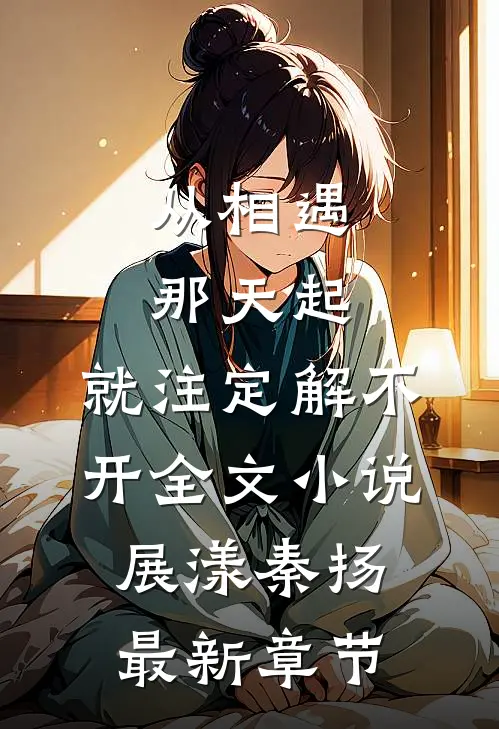 从相遇那天起，就注定解不开全文小说展漾秦扬最新章节