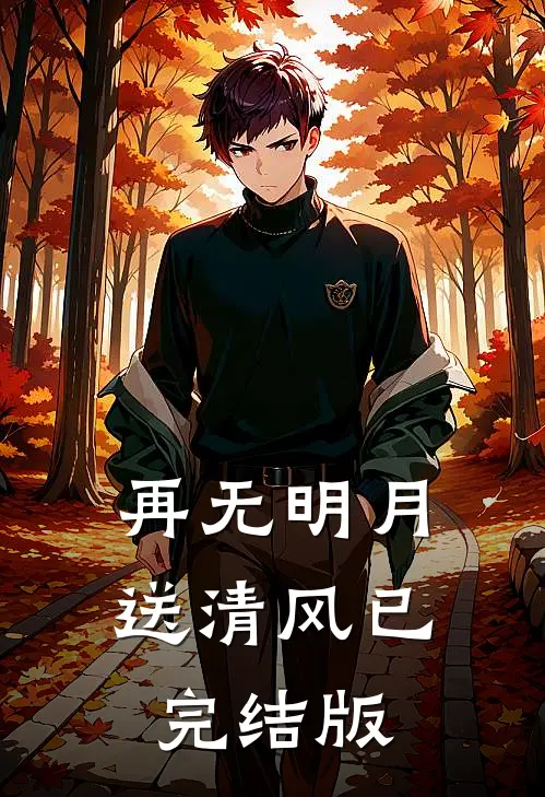再无明月送清风已完结版
