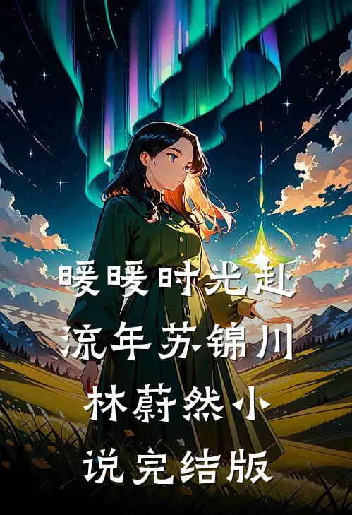 暖暖时光赴流年苏锦川林蔚然小说完结版