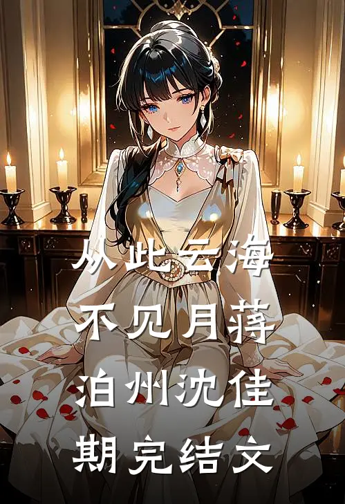从此云海不见月蒋泊州沈佳期完结文